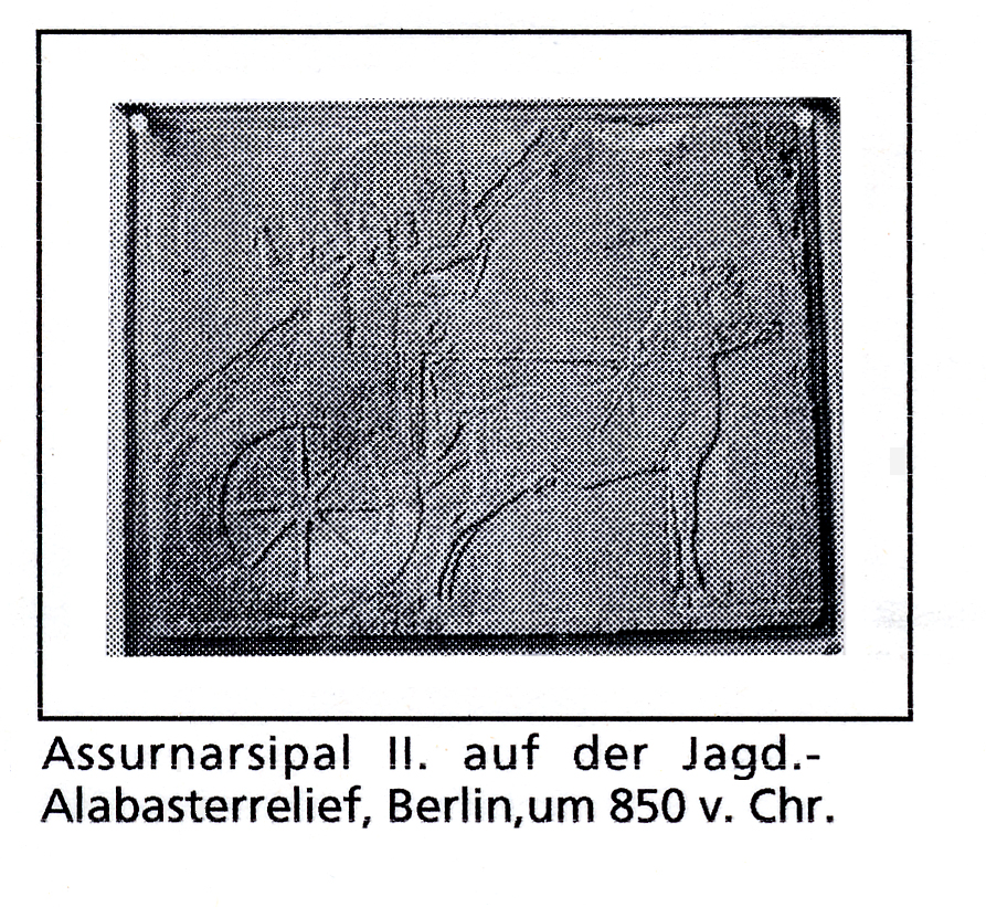 images Elke Suhr