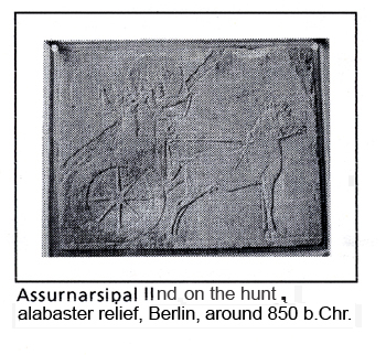 images Elke Suhr